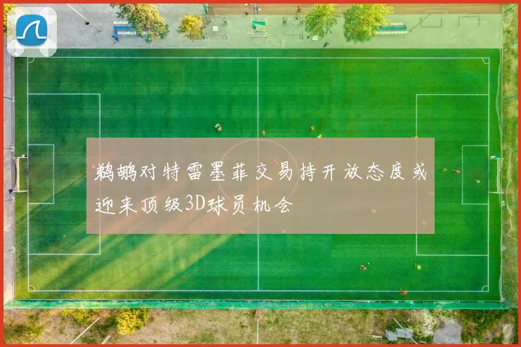 鹈鹕对特雷墨菲交易持开放态度或迎来顶级3D球员机会
