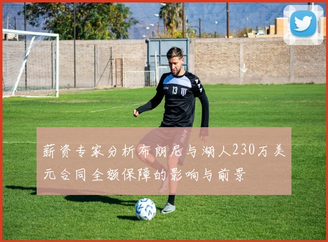 薪资专家分析布朗尼与湖人230万美元合同全额保障的影响与前景