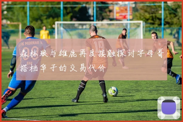 森林狼与雄鹿再度接触探讨字母哥搭档华子的交易代价