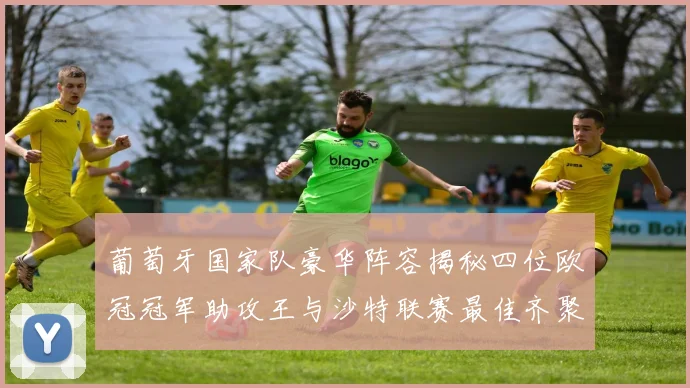 葡萄牙国家队豪华阵容揭秘四位欧冠冠军助攻王与沙特联赛最佳齐聚一堂