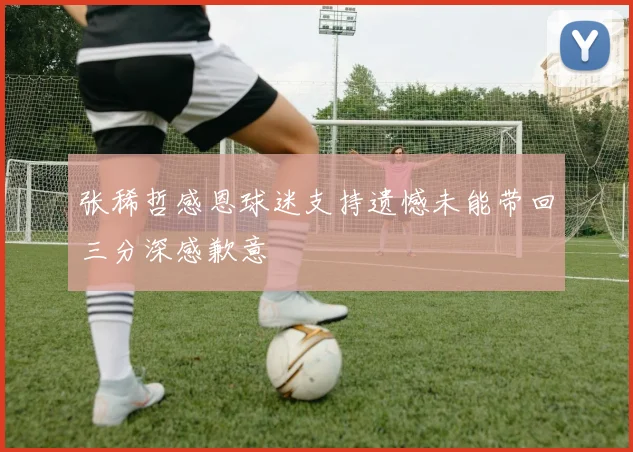 张稀哲感恩球迷支持遗憾未能带回三分深感歉意